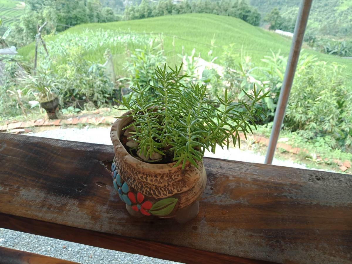 My'S Homestay Sapa Εξωτερικό φωτογραφία