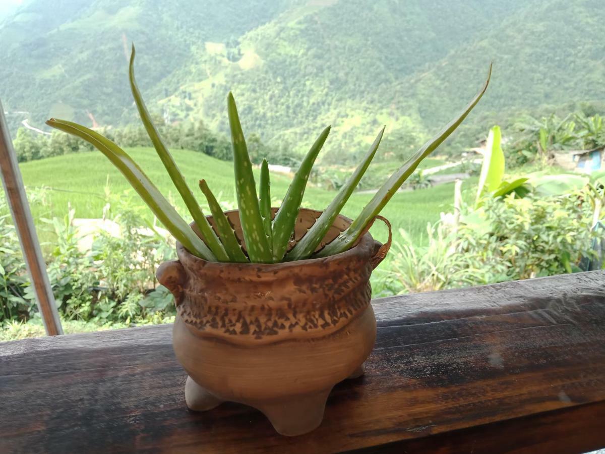 My'S Homestay Sapa Εξωτερικό φωτογραφία